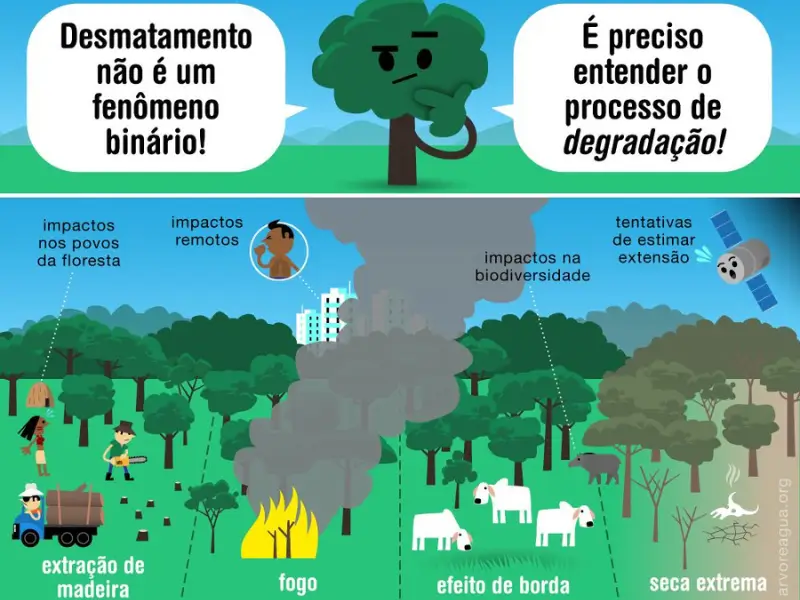 A degradação dos ecossistemas micorrízicos está intrinsecamente ligada à perda de biodiversidade e à diminuição da produtividade agrícola.
Imagem cedida por arvoreagua.org
